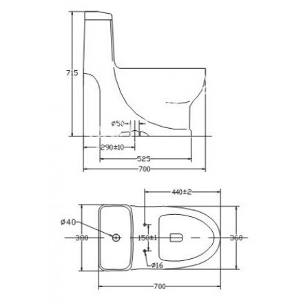 ban-ve-bon-cau-vigracera-v38-440x440