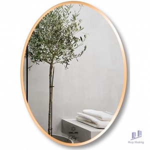 Gương Viền Nhôm GLS F13E30 Dòng F 50 x 70 cm