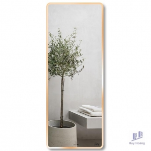 Gương Viền Nhôm GLS F13R70 Dòng F 60x160 cm