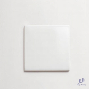 Gạch Thẻ WB20002