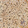 gach-terrazzo-40x40-tron-mau-vang - ảnh nhỏ  1