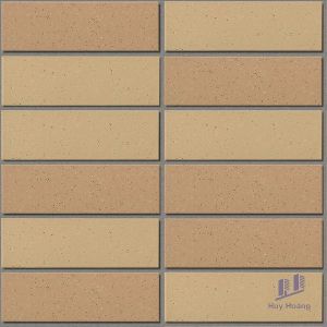 Gạch thẻ INAX-355/EAC-3