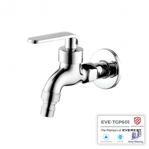 Vòi hồ đồng thau mạ chrome EVEREST EVE-TGP601