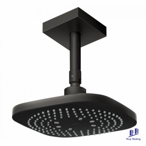 Bát Sen TOTO TBW02003B1B#MBL Gắn Trần Màu Đen Mờ