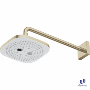 Bát Sen Gắn Tường TOTO TBW02004A#BFG 2 Chế Độ Bát Vàng Pháp Mờ 210mm