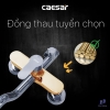 bo-voi-sen-cay-nong-lanh-caesar-s578c - ảnh nhỏ 12