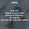 bo-xa-cam-ung-tieu-nam-caesar-a652dc - ảnh nhỏ 11