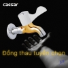 voi-lanh-gan-tuong-caesar-w027c - ảnh nhỏ 5