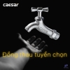 voi-lanh-gan-tuong-caesar-w034-1-21 - ảnh nhỏ 7