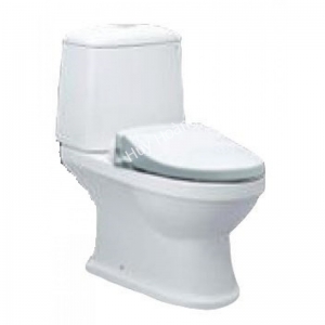 Bàn Cầu Nắp Rửa Cơ CAESAR CD1530/TAF050