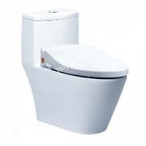 Bồn Cầu Nắp Rửa Cơ CAESAR CD1363/TAF050 1 Khối