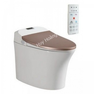 Bồn Cầu Thông Minh Viglacera V93.GW