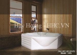 Bồn tắm Việt Mỹ 14CL