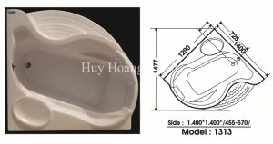 Bồn tắm Việt Mỹ 1313