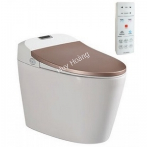 Bồn Cầu Thông Minh Viglacera V94.GW