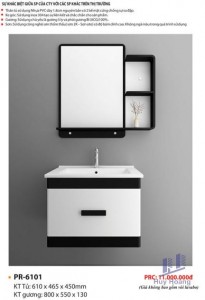 Tủ Lavabo Proxia PR-6101