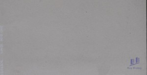 Gạch ốp tường 30x60 DE6301L