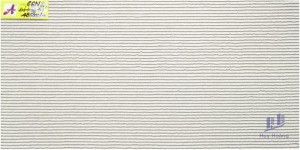 Gạch ốp tường 30x60 66N2