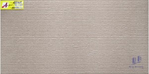 Gạch ốp tường 30x60 66N5