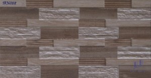 Gạch ốp tường 30x60 JR36008