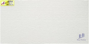 Gạch ốp tường 30x60 66N1