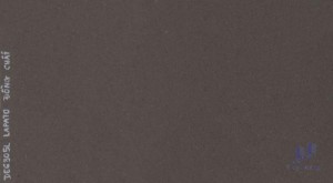 Gạch ốp tường 30x60 DE6305L