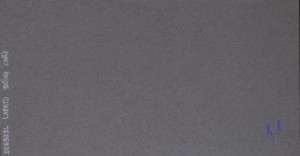 Gạch ốp tường 30x60 DE6303L