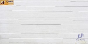 Gạch ốp tường 30x60 RA3661B