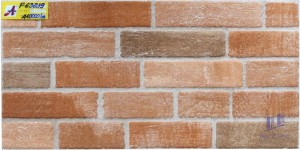 Gạch ốp tường 30x60 2XF63219