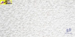 Gạch ốp tường 30x60 CCT01