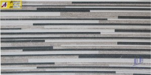 Gạch ốp tường 30x60 R66610