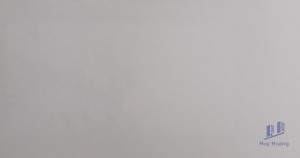 Gạch ốp lát Trung Quốc 60x120 12E6000T