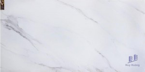 Gạch ốp lát Trung Quốc 60x120 M126H32B