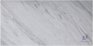 Gạch ốp lát Trung Quốc 60x120 M126H830B