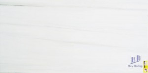 Gạch ốp lát Trung Quốc 60x120 X12FRT04