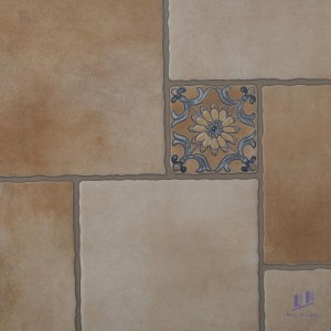 Gạch bông ốp lát Trung Quốc 60x60 6614