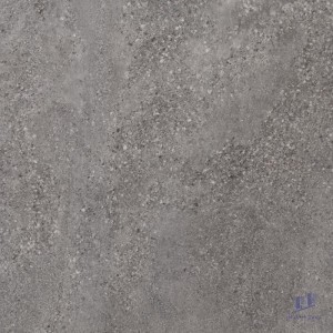 Gạch lát nền nhập khẩu 60X60 RM12111