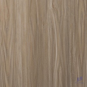 Gạch lát nền nhập khẩu (60X60) GM1273