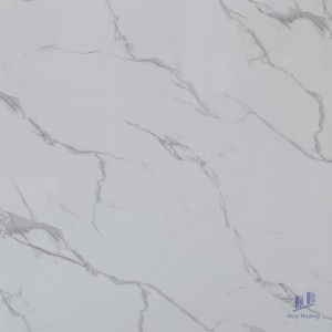 Gạch lát nền nhập khẩu 60X60 GM14116