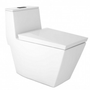 Bồn Cầu 1 khối COTTO C102807 Xả Nhấn