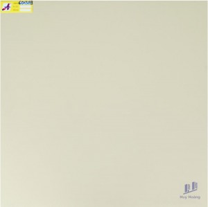 Gạch 60X60 lát nền nhập khẩu 6013F8