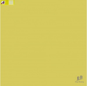 Gạch 60X60 lát nền nhập khẩu J6613