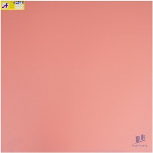 Gạch 60X60 lát nền nhập khẩu 622F8
