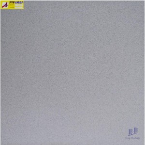 Gạch 60X60 lát nền nhập khẩu FTP616BP