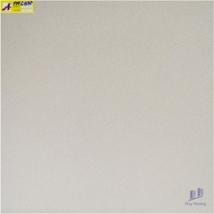 Gạch 60X60 lát nền nhập khẩu FTP611BP
