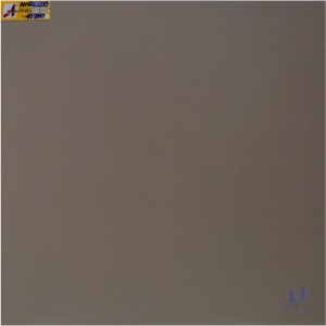 Gạch 60X60 lát nền nhập khẩu RM602208