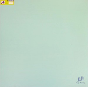 Gạch 60X60 lát nền nhập khẩu 605F8