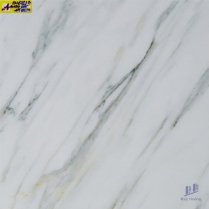 Gạch 60X60 lát nền nhập khẩu EM6023B