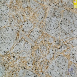 Gạch 80X80 lát nền nhập khẩu GM14209