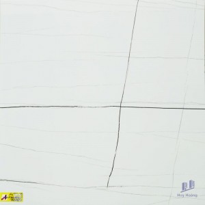 Gạch 80X80 lát nền nhập khẩu 80T010B